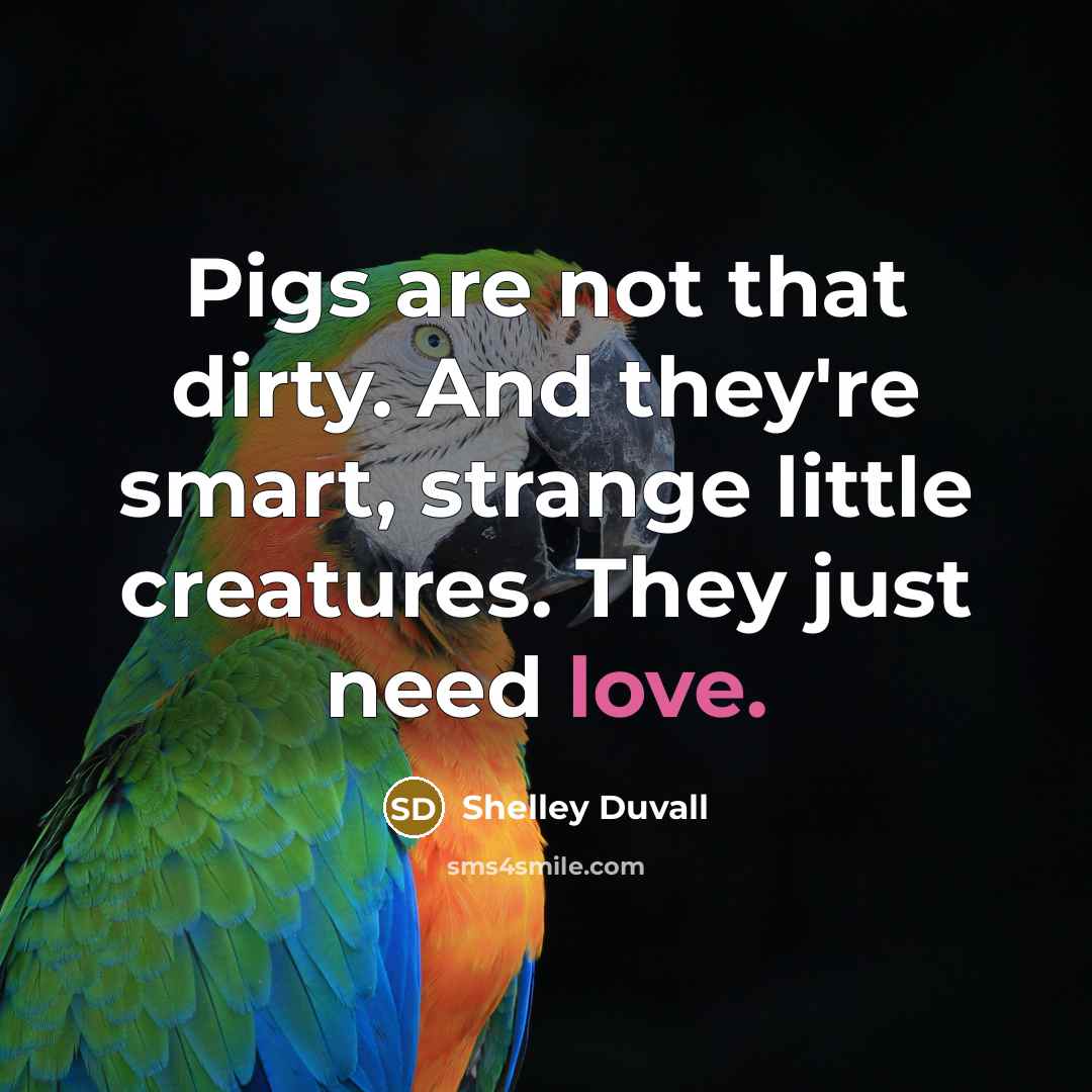 “Pigs are not that dirty. And they're smart, strange little creatures. They just need love.” quote by Shelley Duvall
