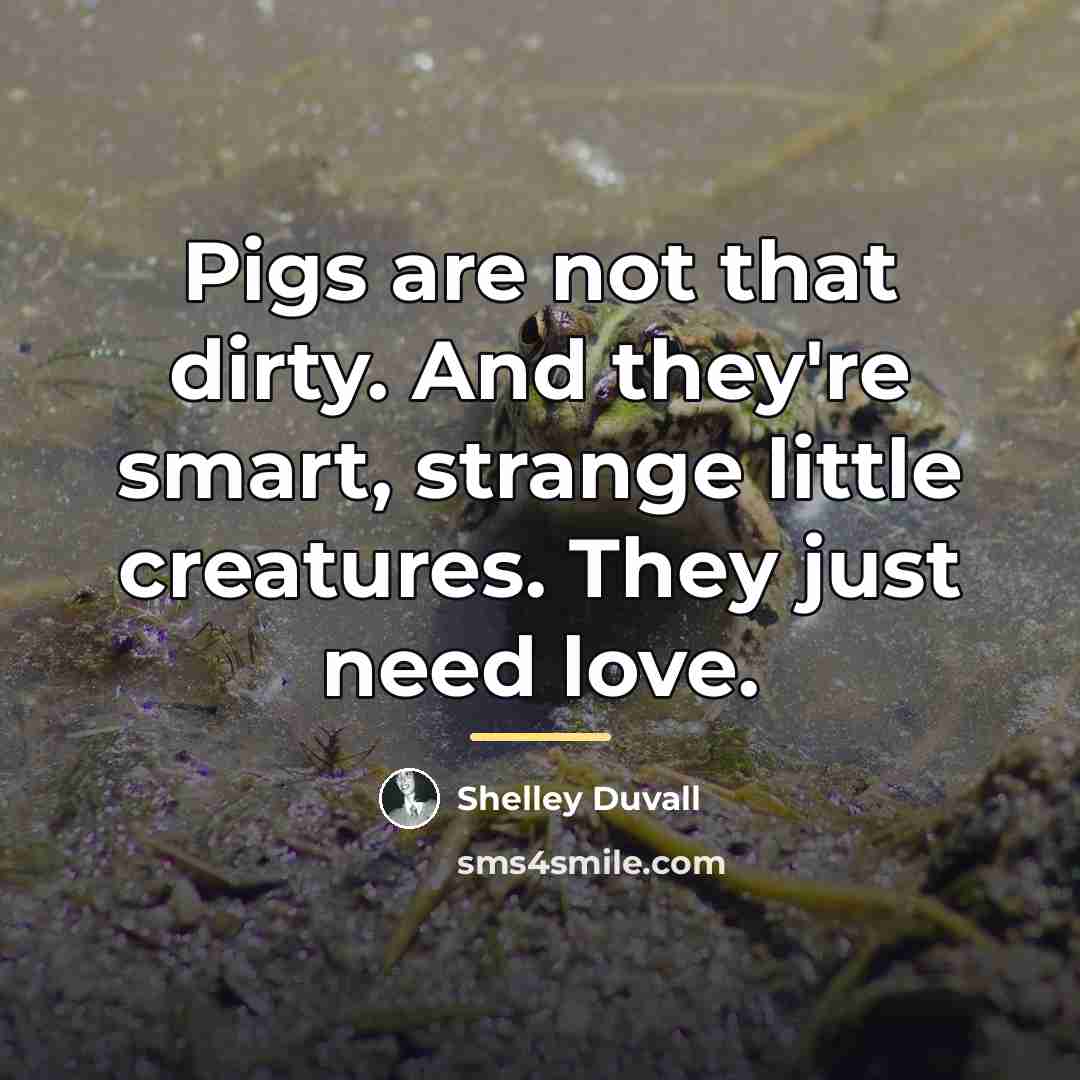 “Pigs are not that dirty. And they're smart, strange little…” quote by Shelley Duvall