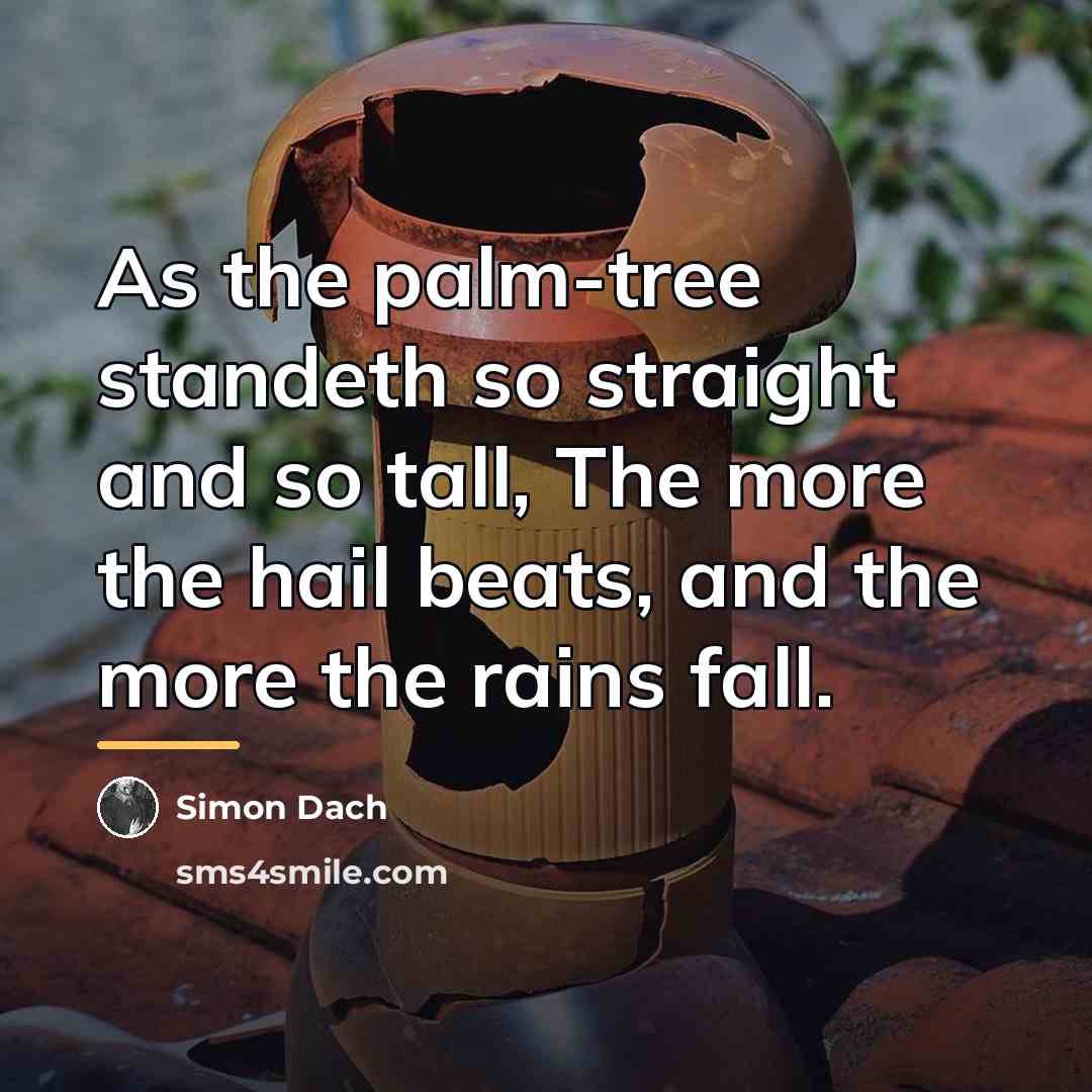“As the palm-tree standeth so straight and so tall, The…” quote by Simon Dach
