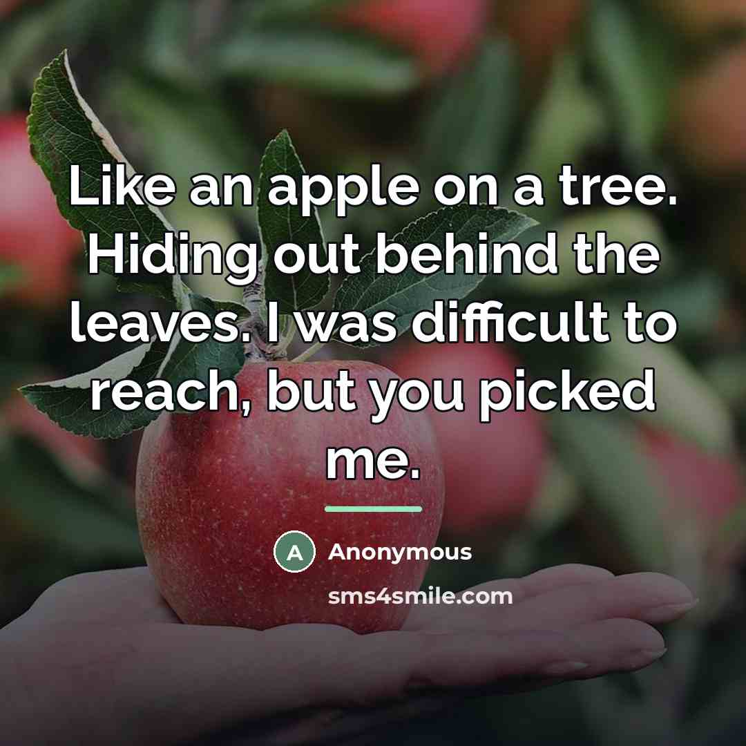 “Like an apple on a tree. Hiding out behind the…” quote by Anonymous