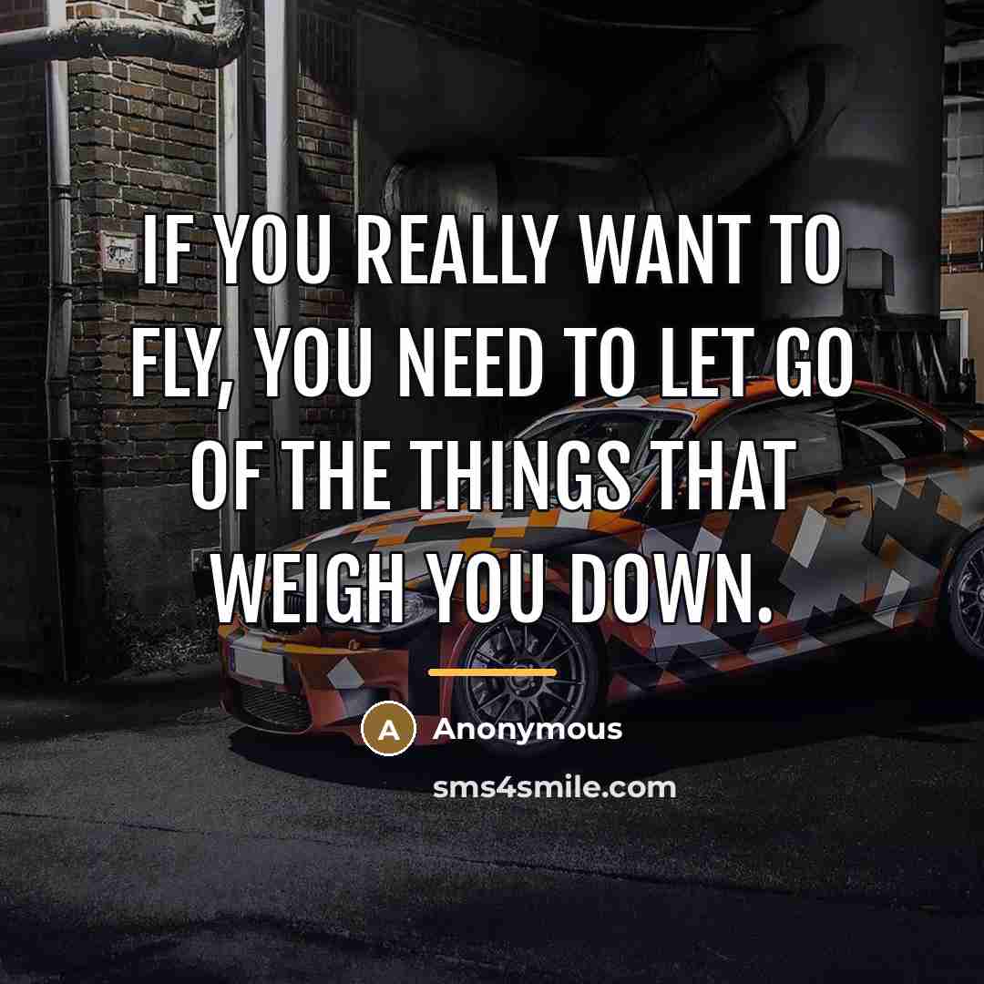 “If you really want to fly, you need to let…” quote by Anonymous