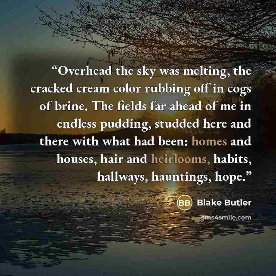 “Overhead the sky was melting, the cracked cream color rubbing off in cogs of brine. The fields far ahead of me in endless pudding, studded here and there with what had been: homes and houses, hair and heirlooms, habits, hallways, hauntings, hope.” quote by Blake Butler