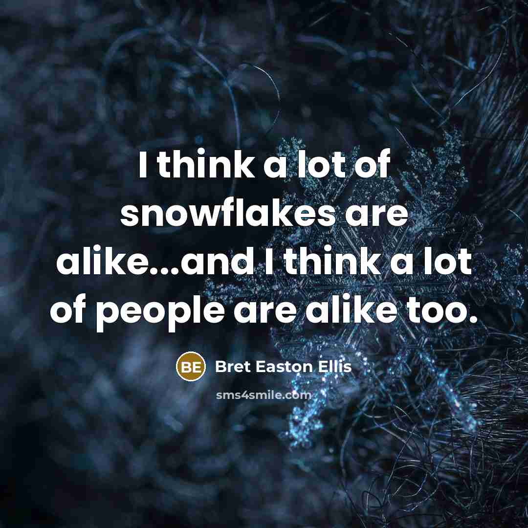 “I think a lot of snowflakes are alike...and I think…” quote by Bret Easton Ellis