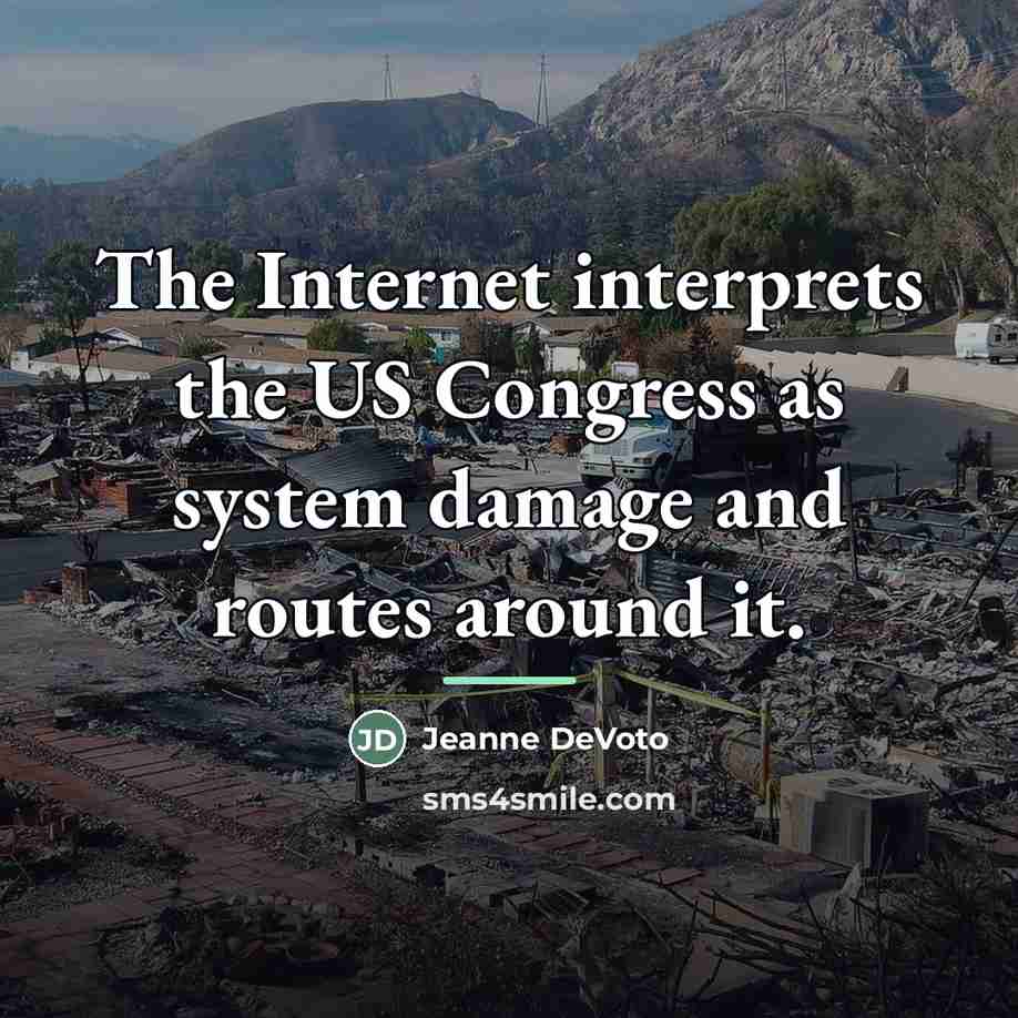 “The Internet interprets the US Congress as system damage and…” quote by Jeanne DeVoto