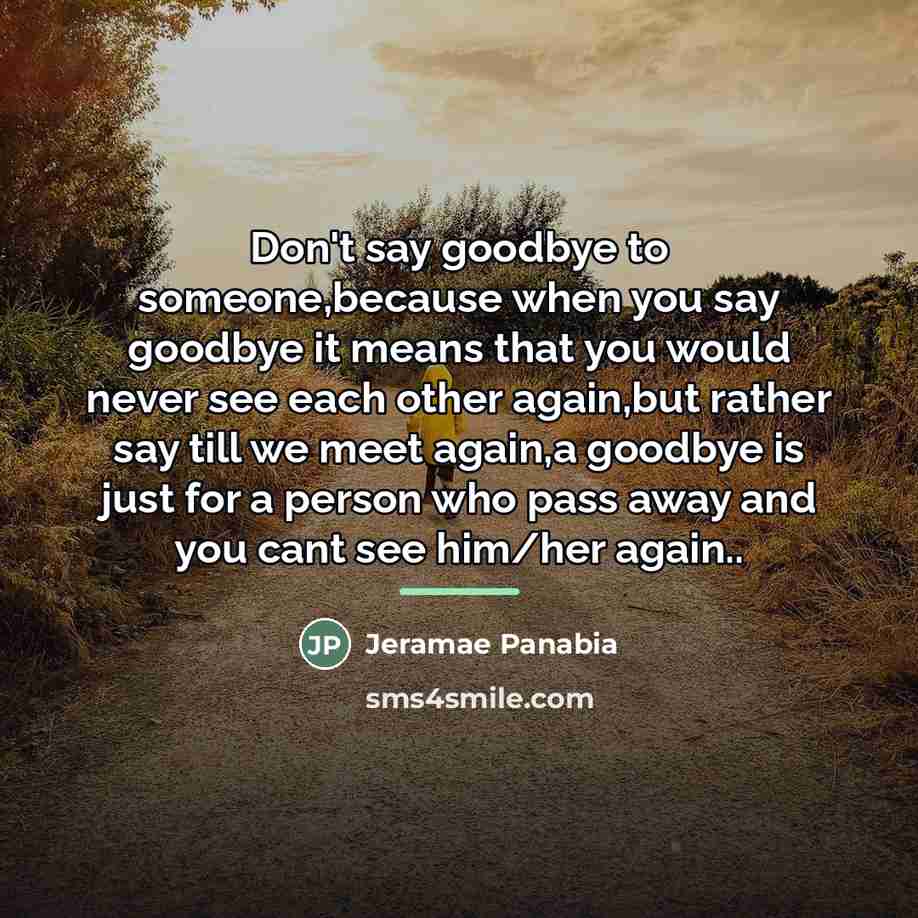 “Don't say goodbye to someone,because when you say goodbye it…” quote by Jeramae Panabia