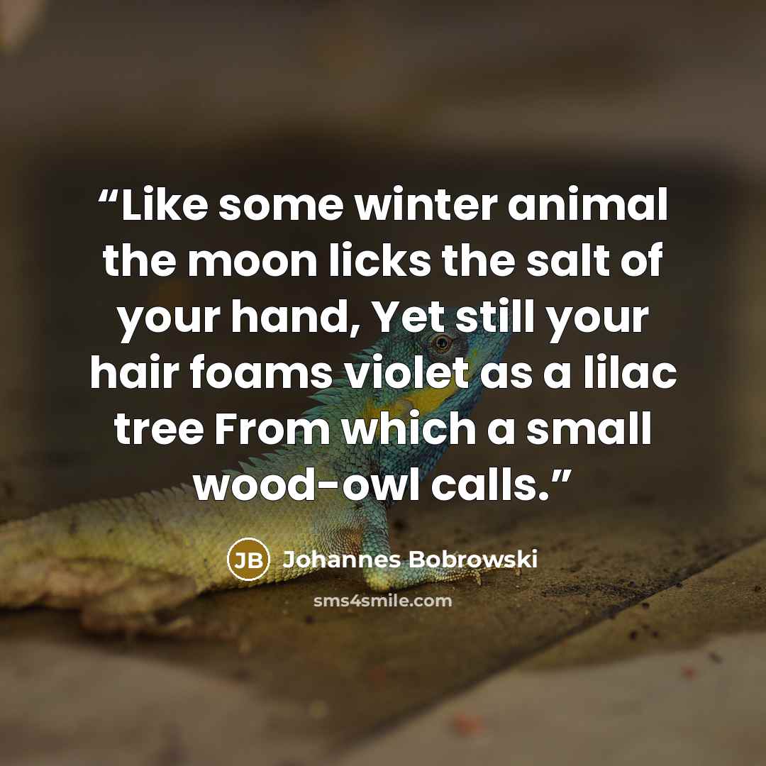 “Like some winter animal the moon licks the salt of your hand, Yet still your hair foams violet as a lilac tree From which a small wood-owl calls.” quote by Johannes Bobrowski