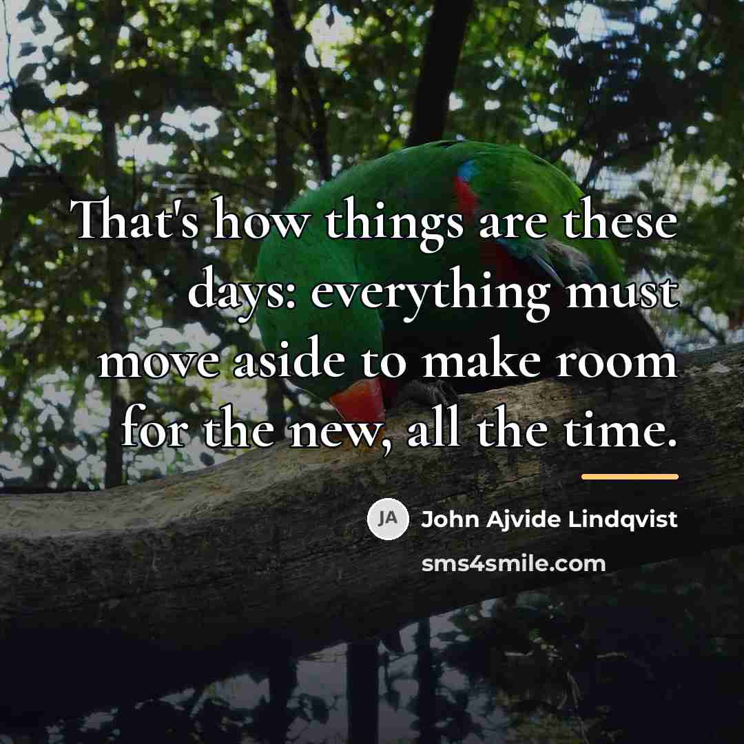 “That's how things are these days: everything must move aside…” quote by John Ajvide Lindqvist