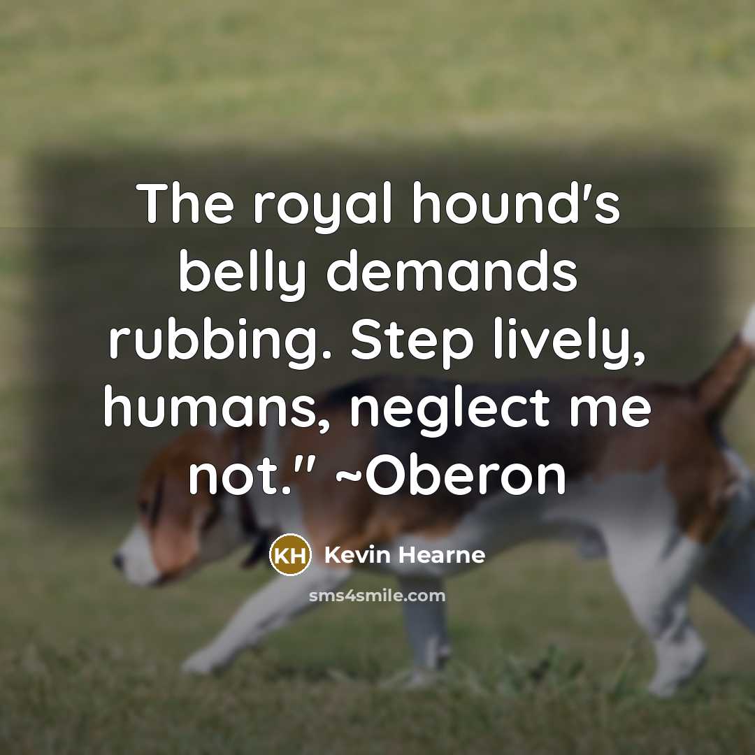 “The royal hound's belly demands rubbing. Step lively, humans, neglect…” quote by Kevin Hearne