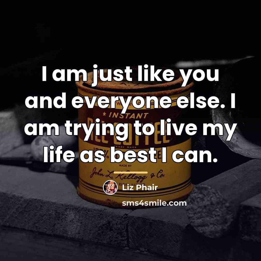“I am just like you and everyone else. I am…” quote by Liz Phair