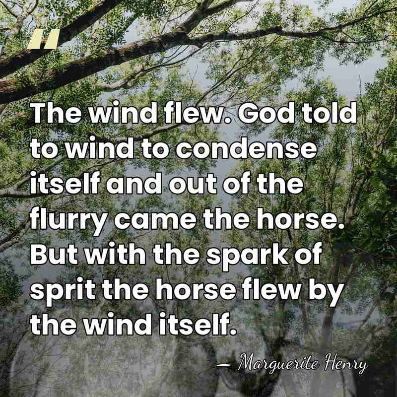 The wind flew. God told to wind to condense itself and out&hellip; - Marguerite Henry