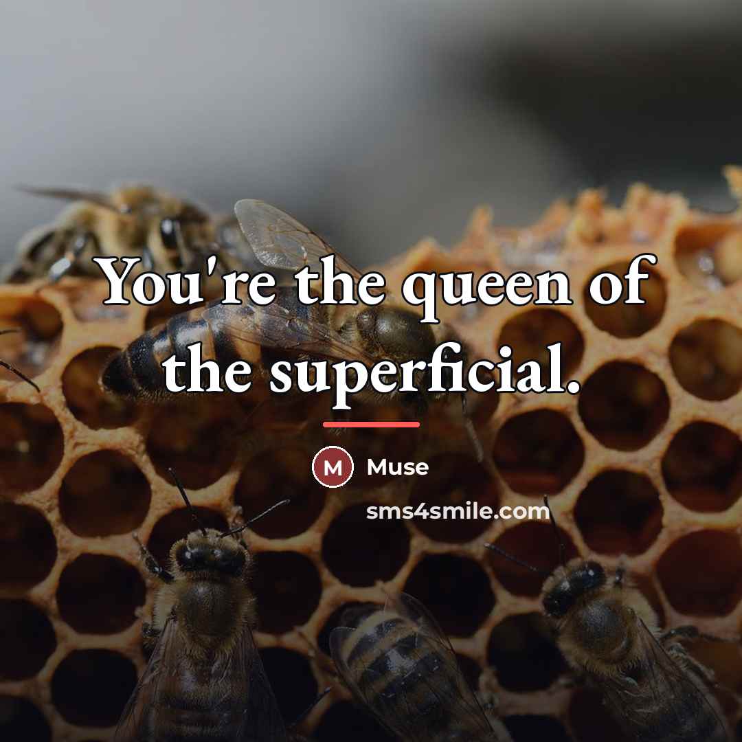 “You're the queen of the superficial.…” quote by Muse