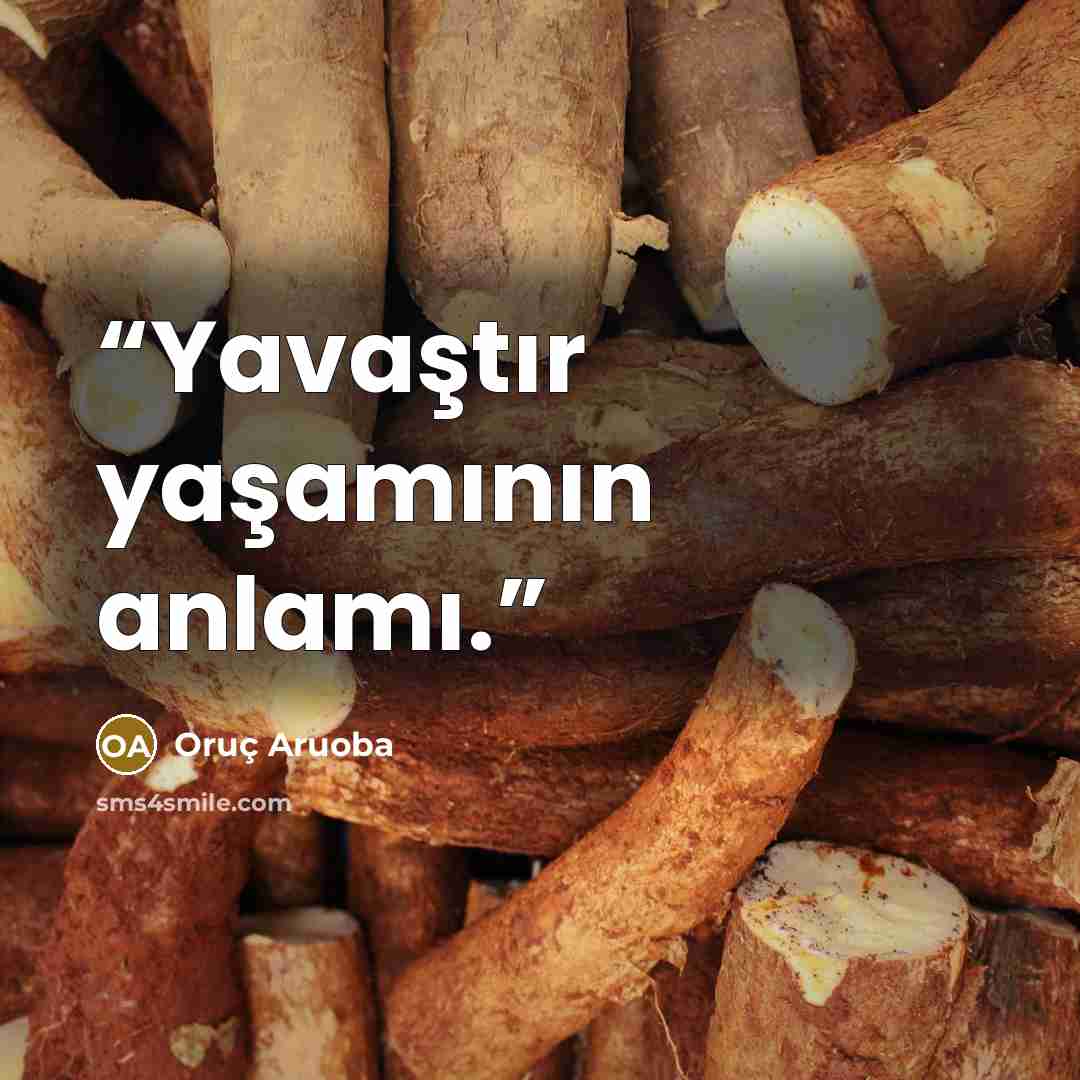 “Yavaştır yaşamının anlamı.” quote by Oruç Aruoba
