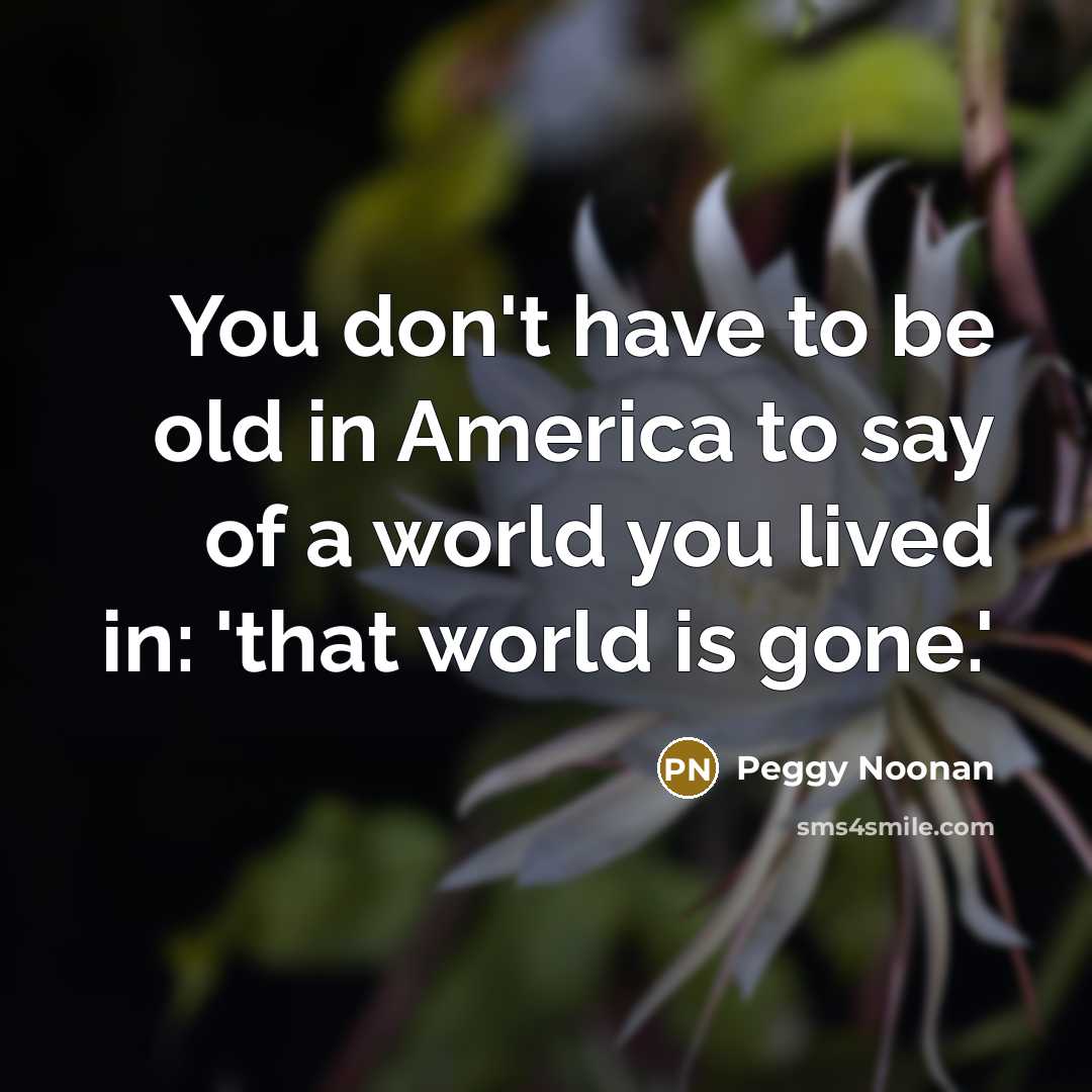 “You don't have to be old in America to say…” quote by Peggy Noonan