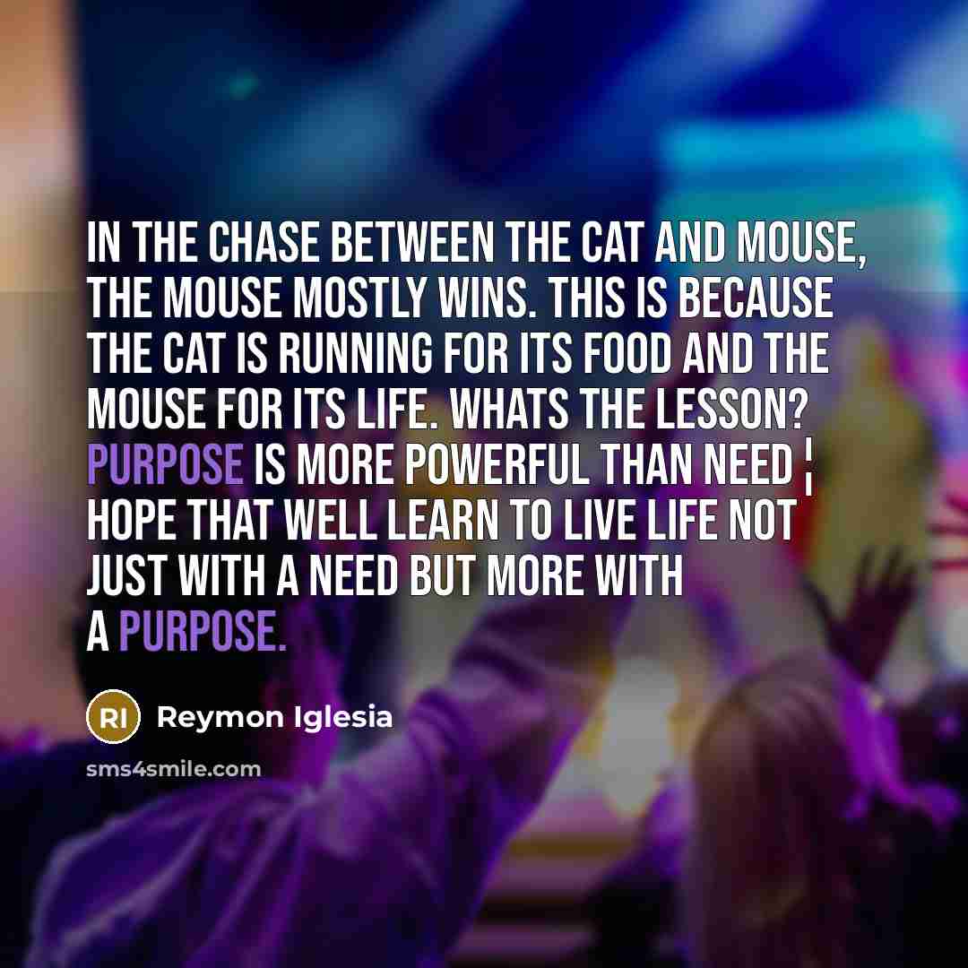 “In the chase between the cat and mouse, the mouse…” quote by Reymon Iglesia