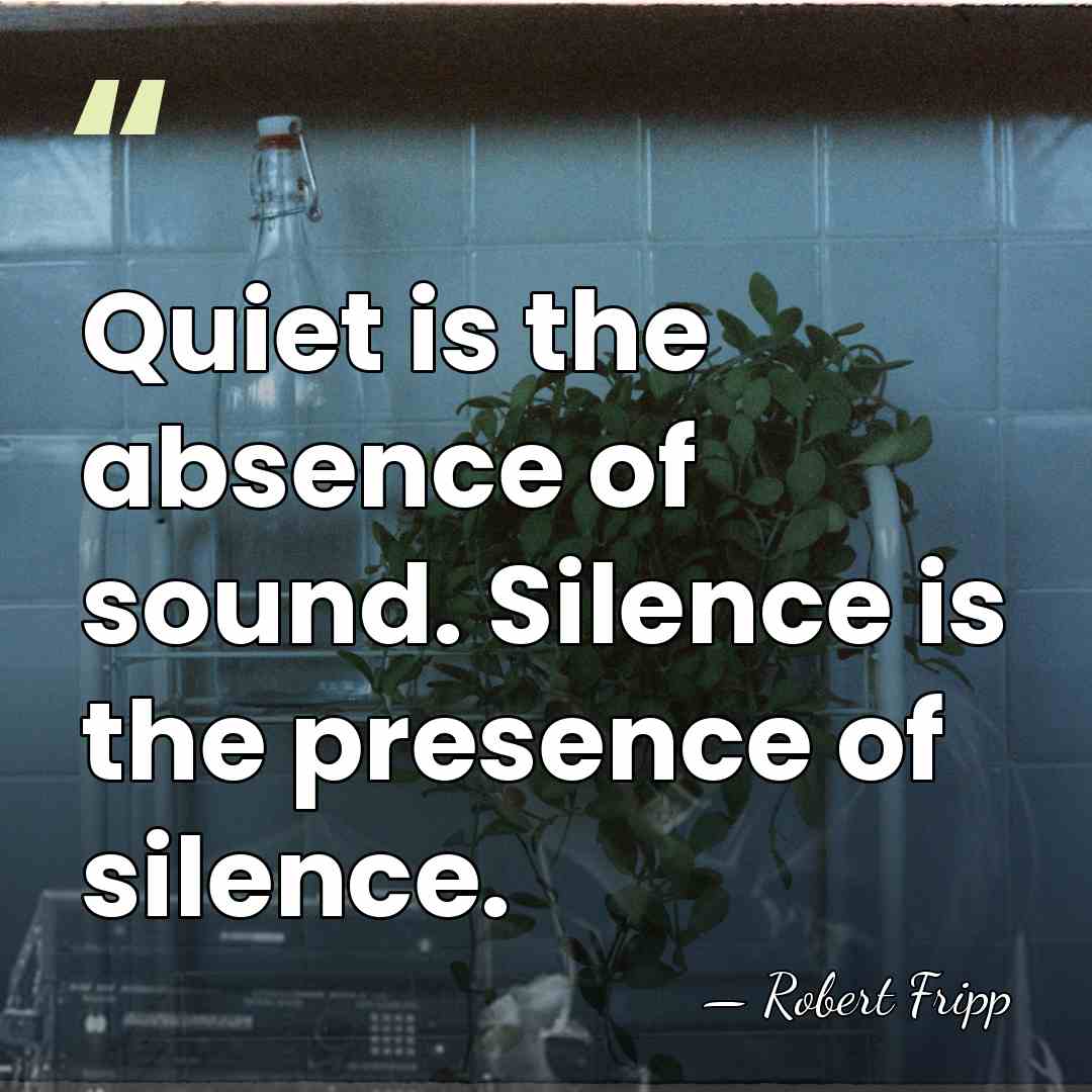 Quiet is the absence of sound. Silence is the presence of silence. - Robert Fripp
