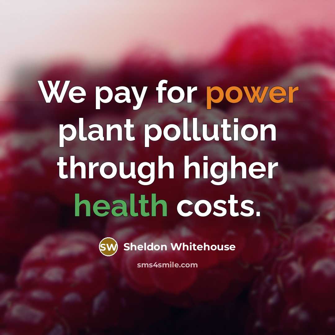 “We pay for power plant pollution through higher health costs.…” quote by Sheldon Whitehouse