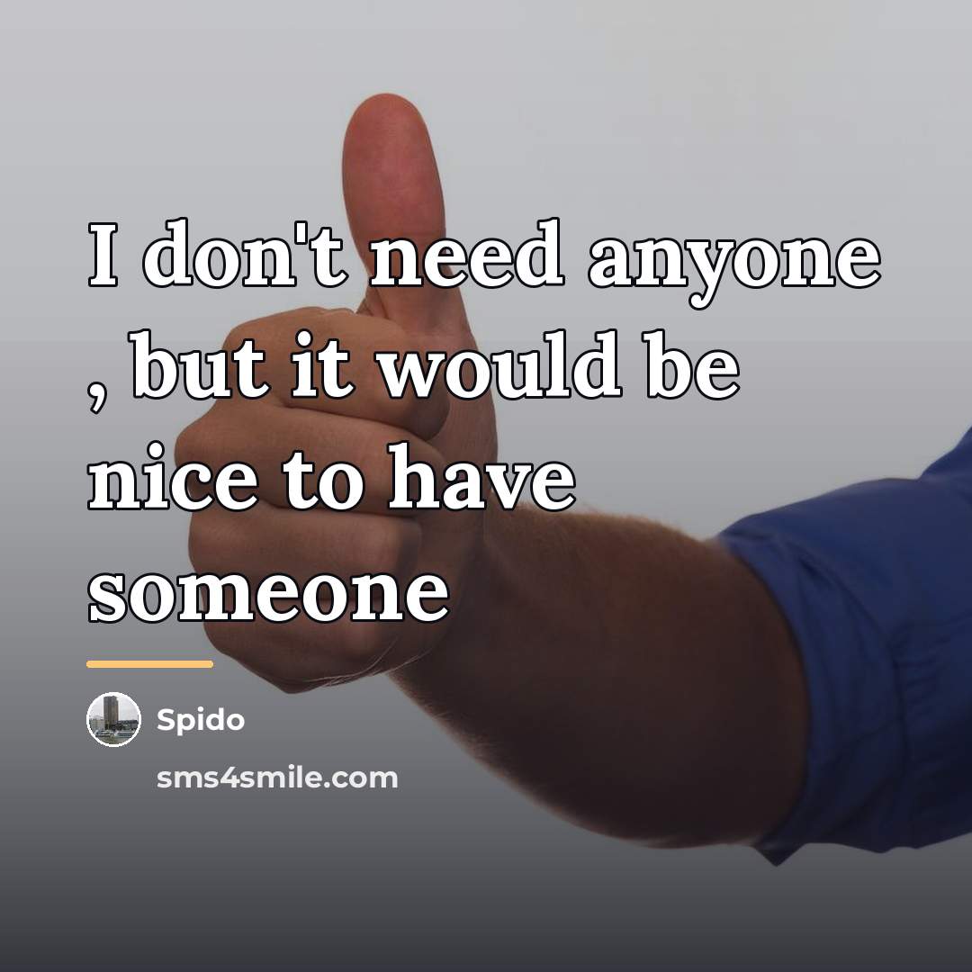 “I don't need anyone , but it would be nice…” quote by Spido