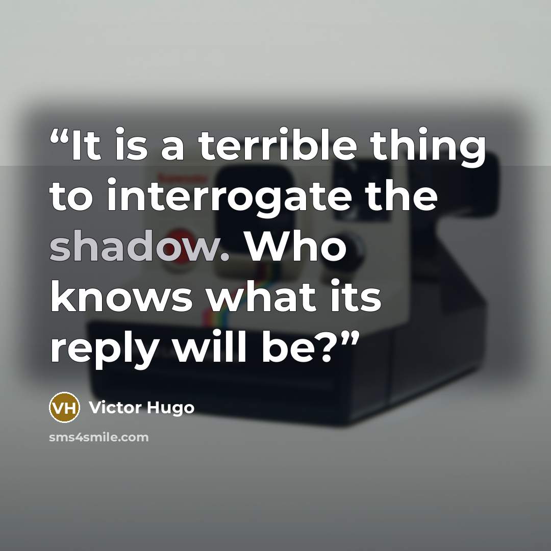 “It is a terrible thing to interrogate the shadow. Who knows what its reply will be?” quote by Victor Hugo