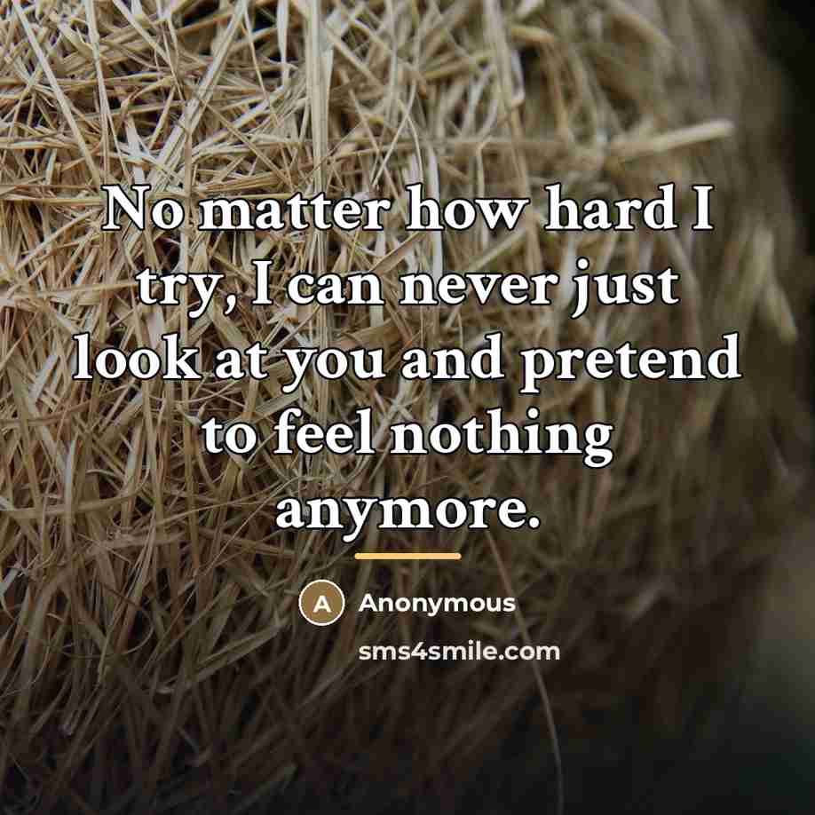 “No matter how hard I try, I can never just…” quote by Anonymous