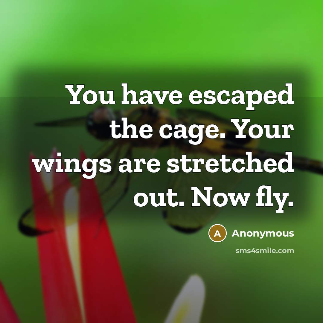 “You have escaped the cage. Your wings are stretched out.…” quote by Anonymous