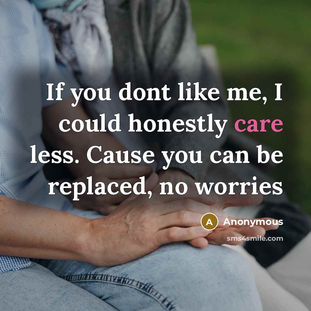 “If you dont like me, I could honestly care less. Cause you can be replaced, no worries” quote by Anonymous