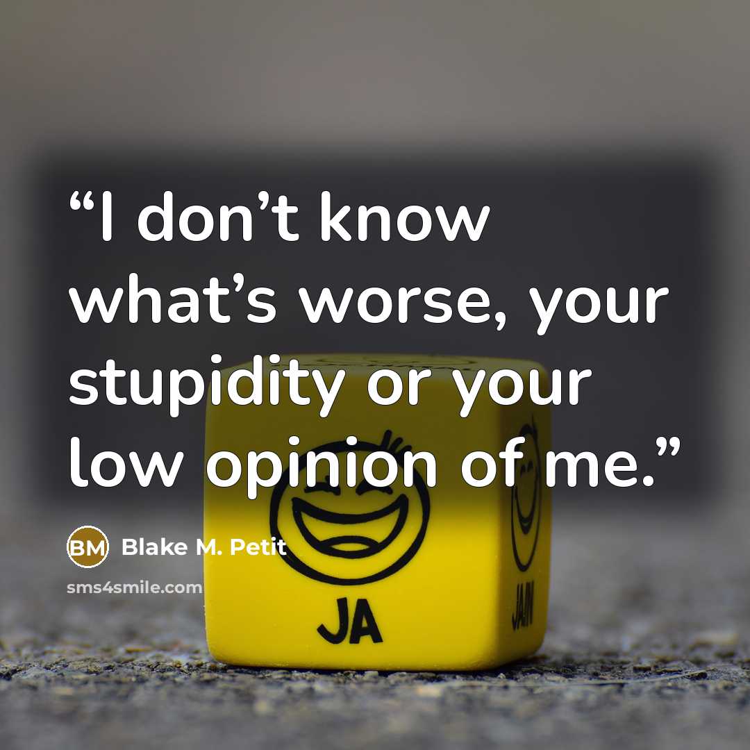 “I don’t know what’s worse, your stupidity or your low opinion of me.” quote by Blake M. Petit