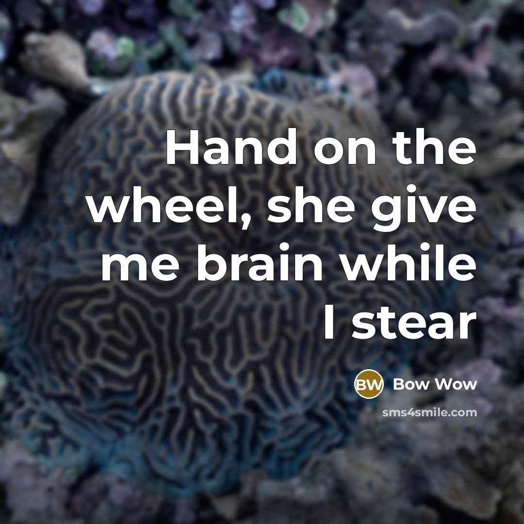 “Hand on the wheel, she give me brain while I…” quote by Bow Wow