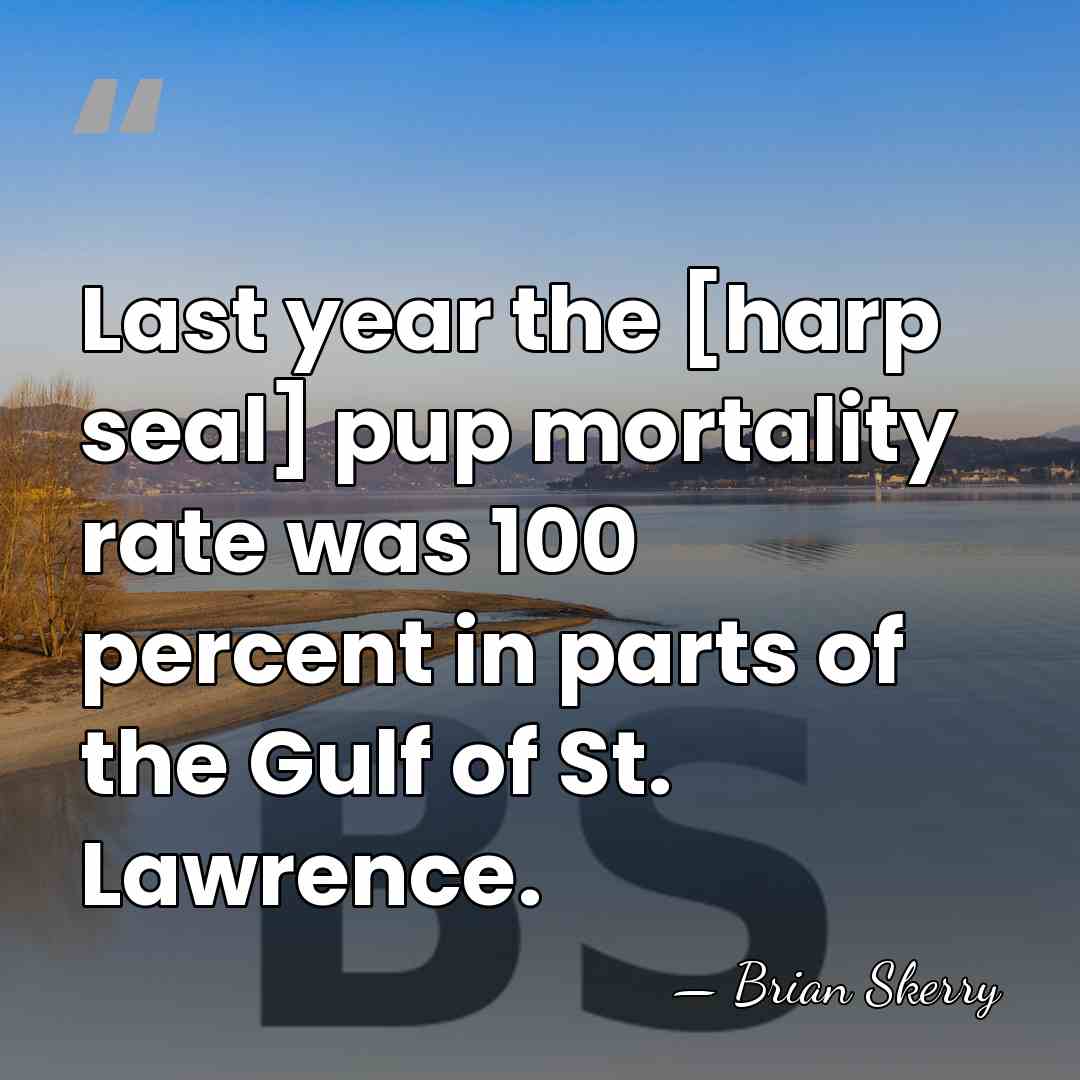 Last year the [harp seal] pup mortality rate was 100 percent in&hellip; - Brian Skerry