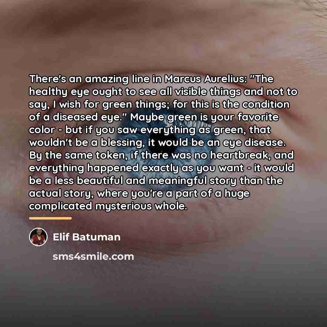 “There's an amazing line in Marcus Aurelius: "The healthy eye…” quote by Elif Batuman