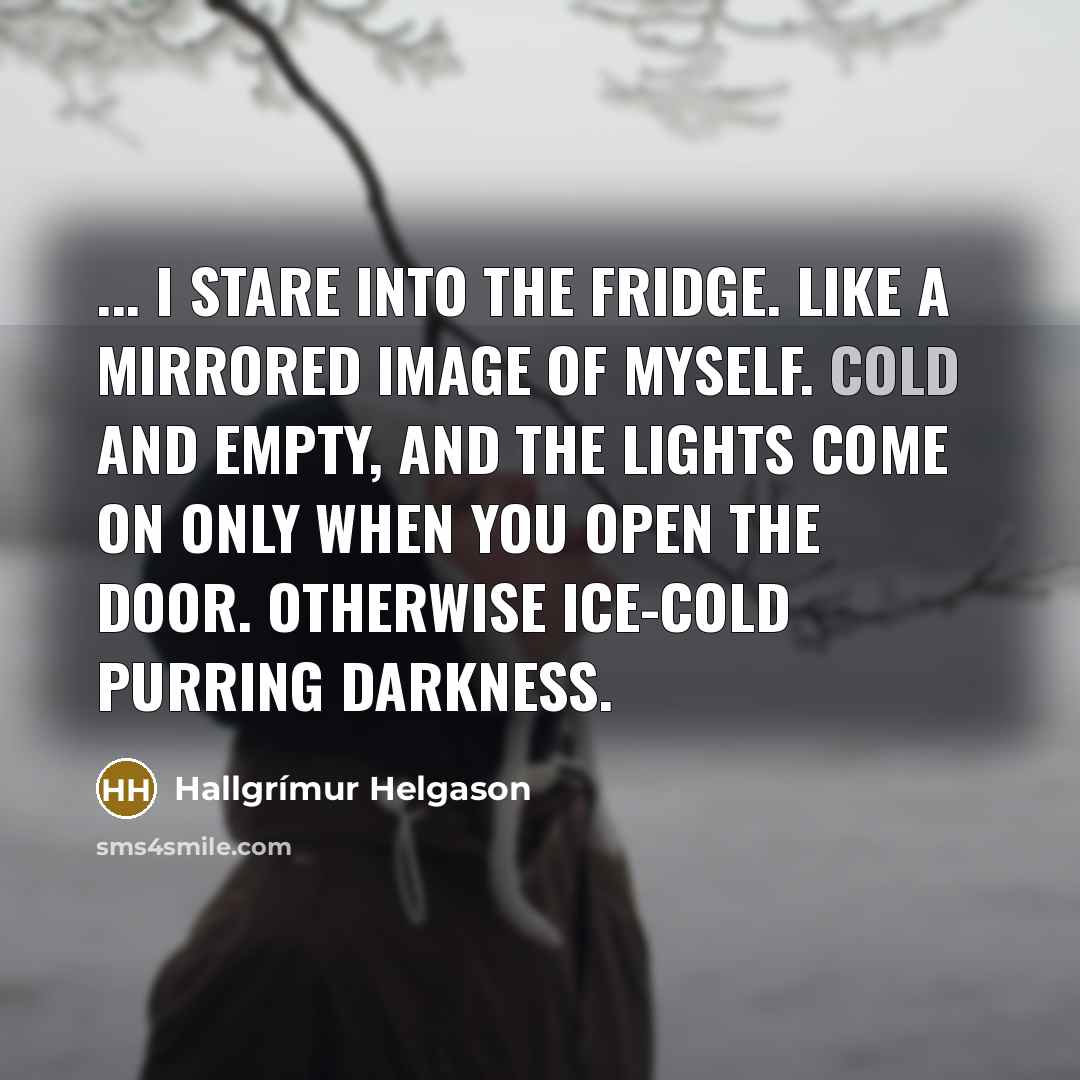 “... I stare into the fridge. Like a mirrored image…” quote by Hallgrimur Helgason