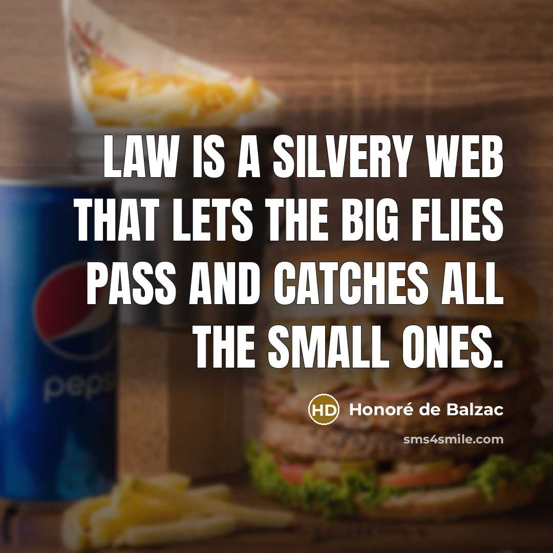 “Law is a silvery web that lets the big flies…” quote by Honore de Balzac