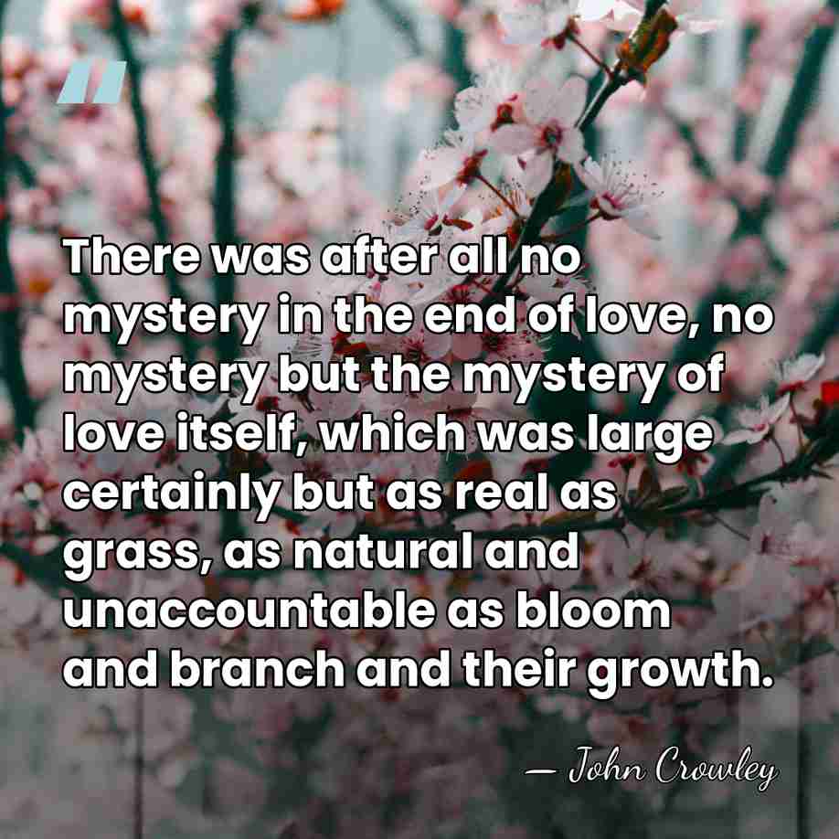 There was after all no mystery in the end of love, no&hellip; - John Crowley