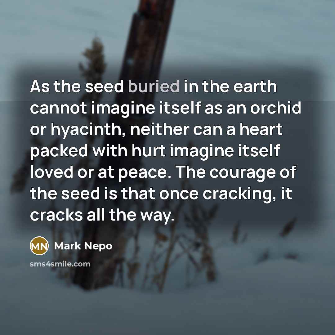 “As the seed buried in the earth cannot imagine itself…” quote by Mark Nepo