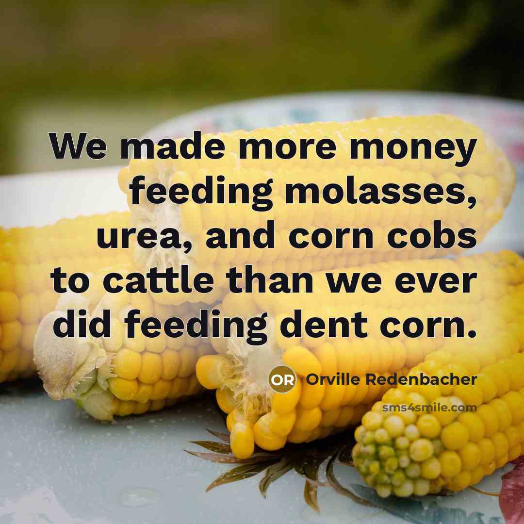 “We made more money feeding molasses, urea, and corn cobs…” quote by Orville Redenbacher