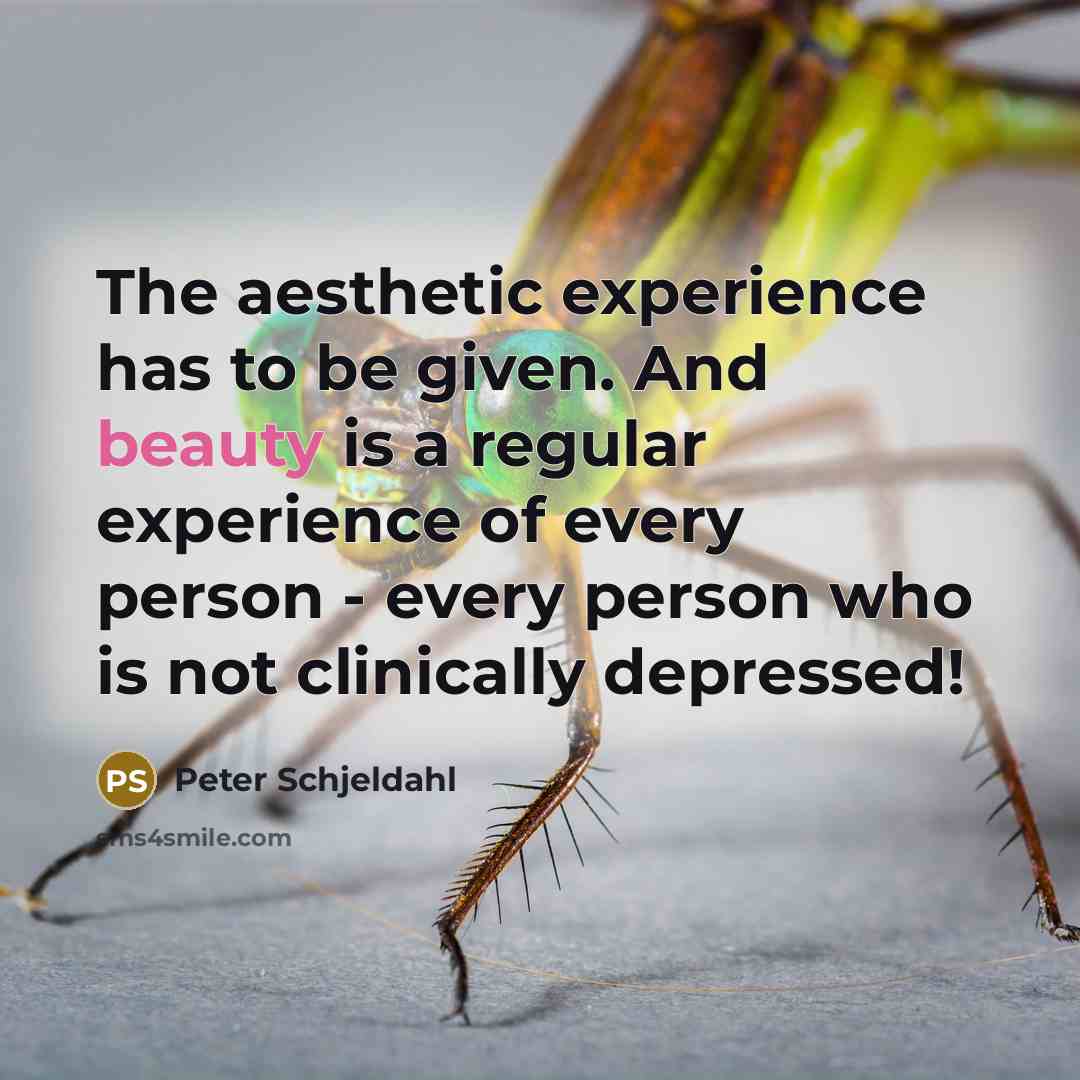 “The aesthetic experience has to be given. And beauty is…” quote by Peter Schjeldahl