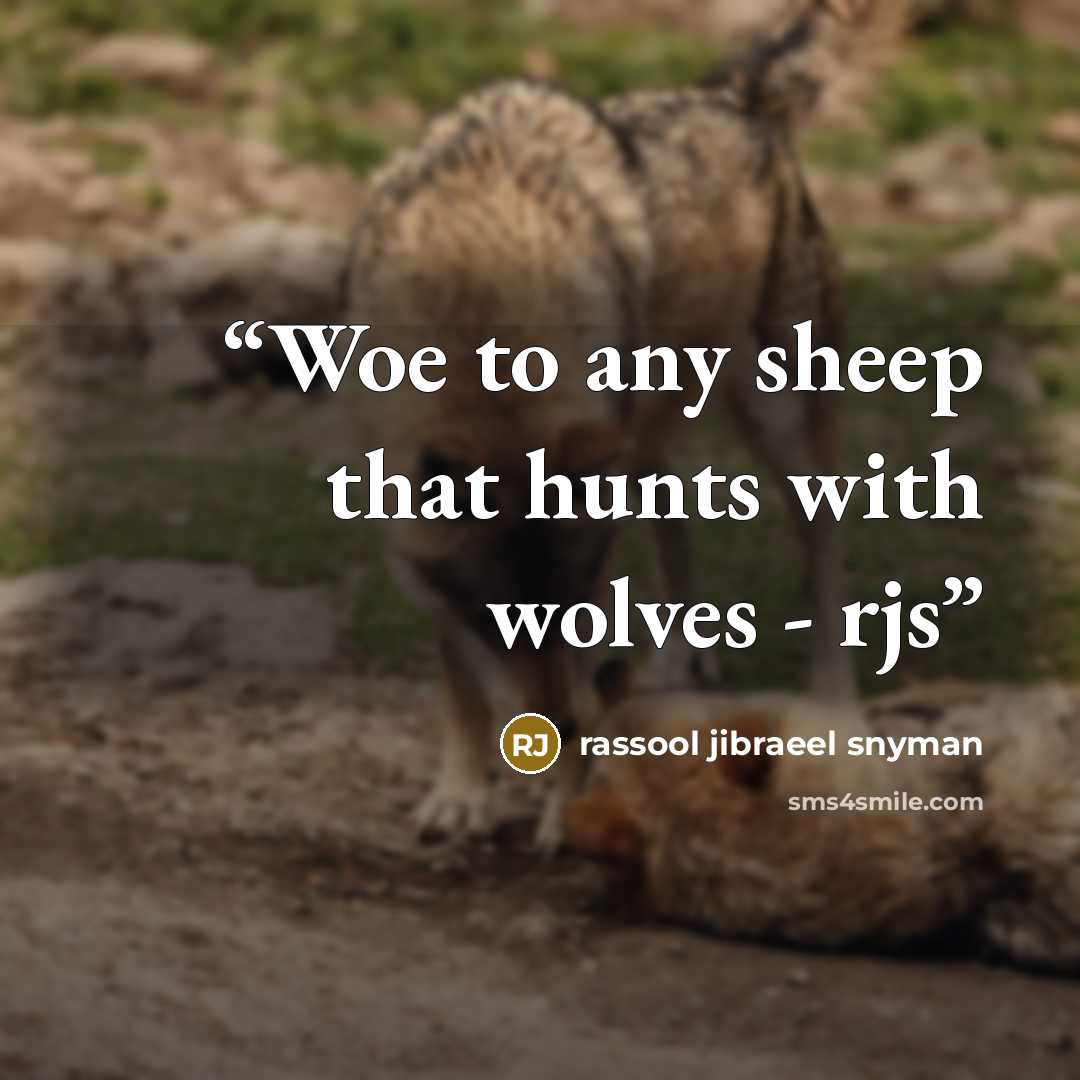 “Woe to any sheep that hunts with wolves - rjs” quote by rassool jibraeel snyman