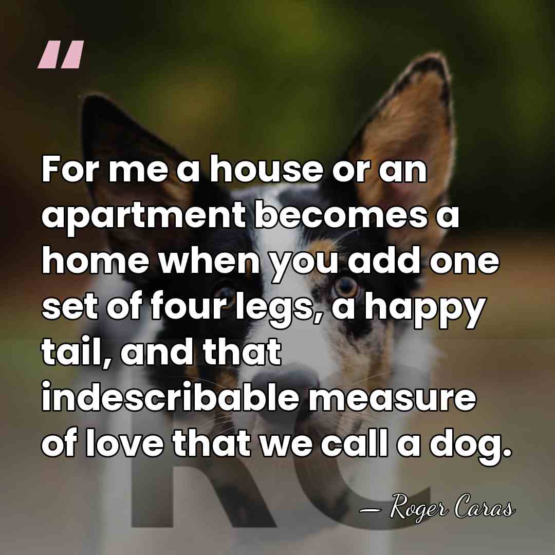 For me a house or an apartment becomes a home when you&hellip; - Roger Caras
