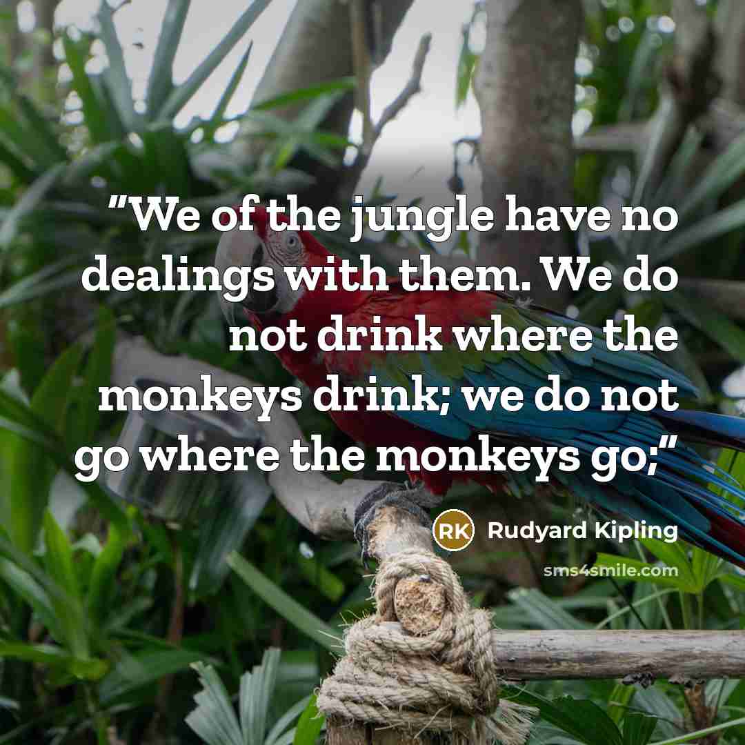“We of the jungle have no dealings with them. We do not drink where the monkeys drink; we do not go where the monkeys go;” quote by Rudyard Kipling