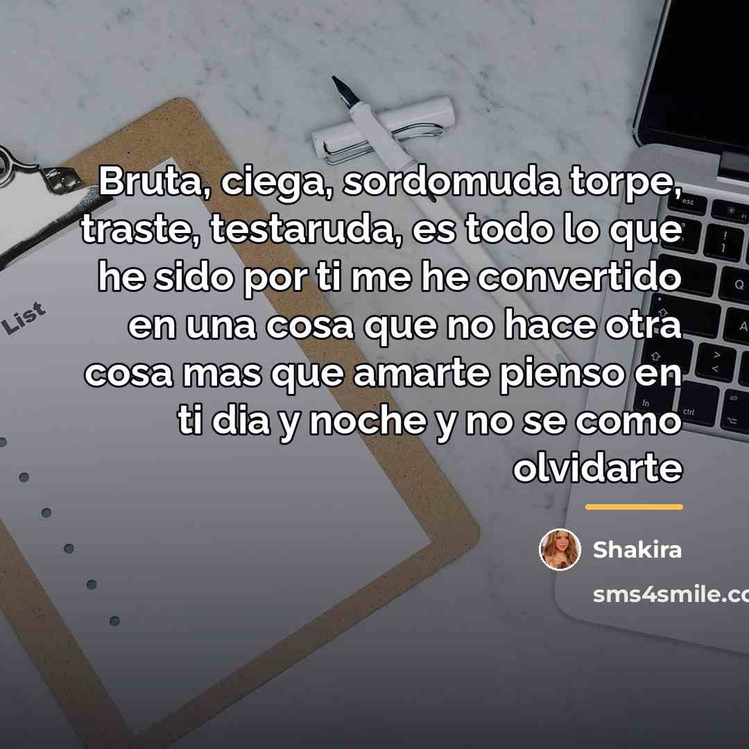 “Bruta, ciega, sordomuda torpe, traste, testaruda, es todo lo que…” quote by Shakira