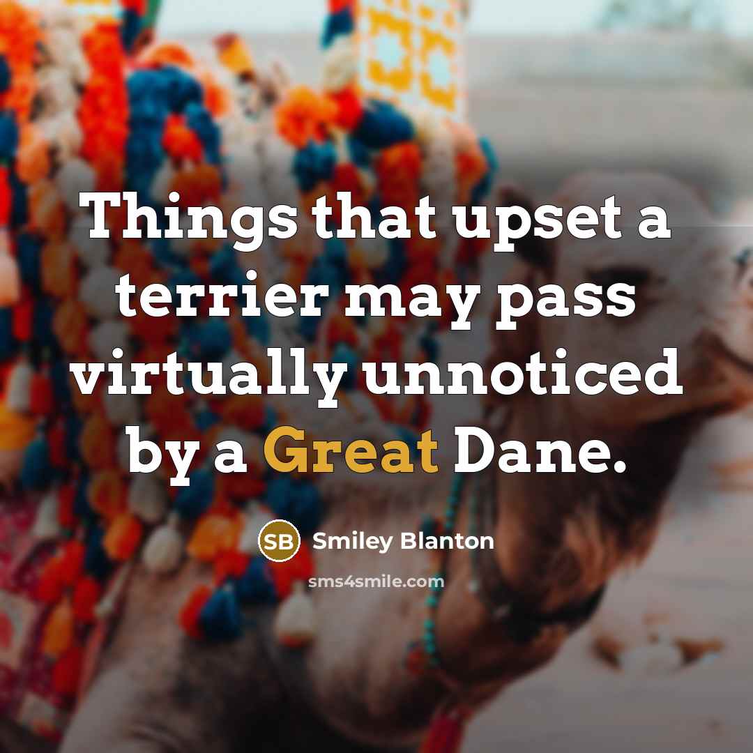 “Things that upset a terrier may pass virtually unnoticed by…” quote by Smiley Blanton