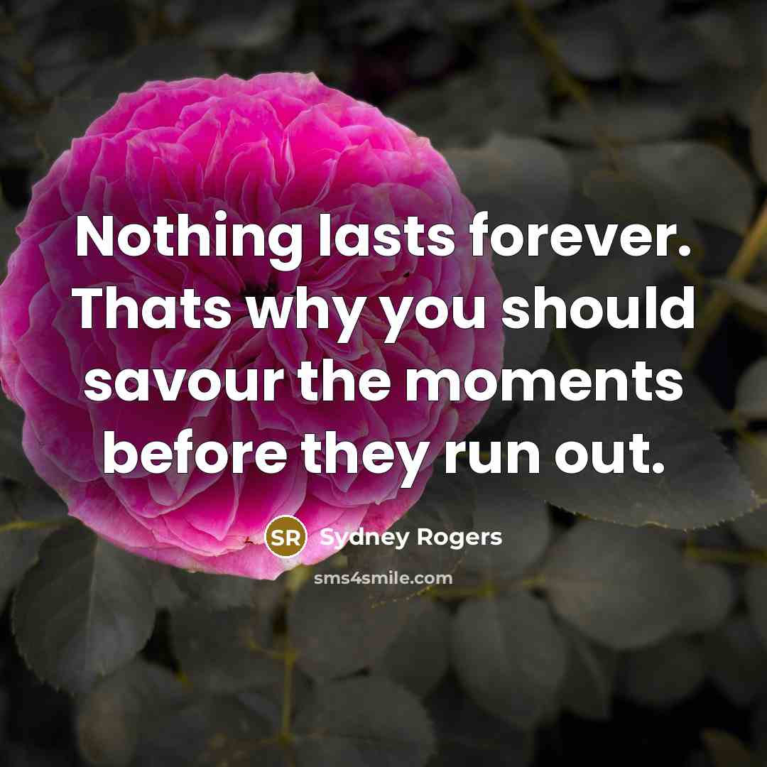 “Nothing lasts forever. Thats why you should savour the moments…” quote by Sydney Rogers