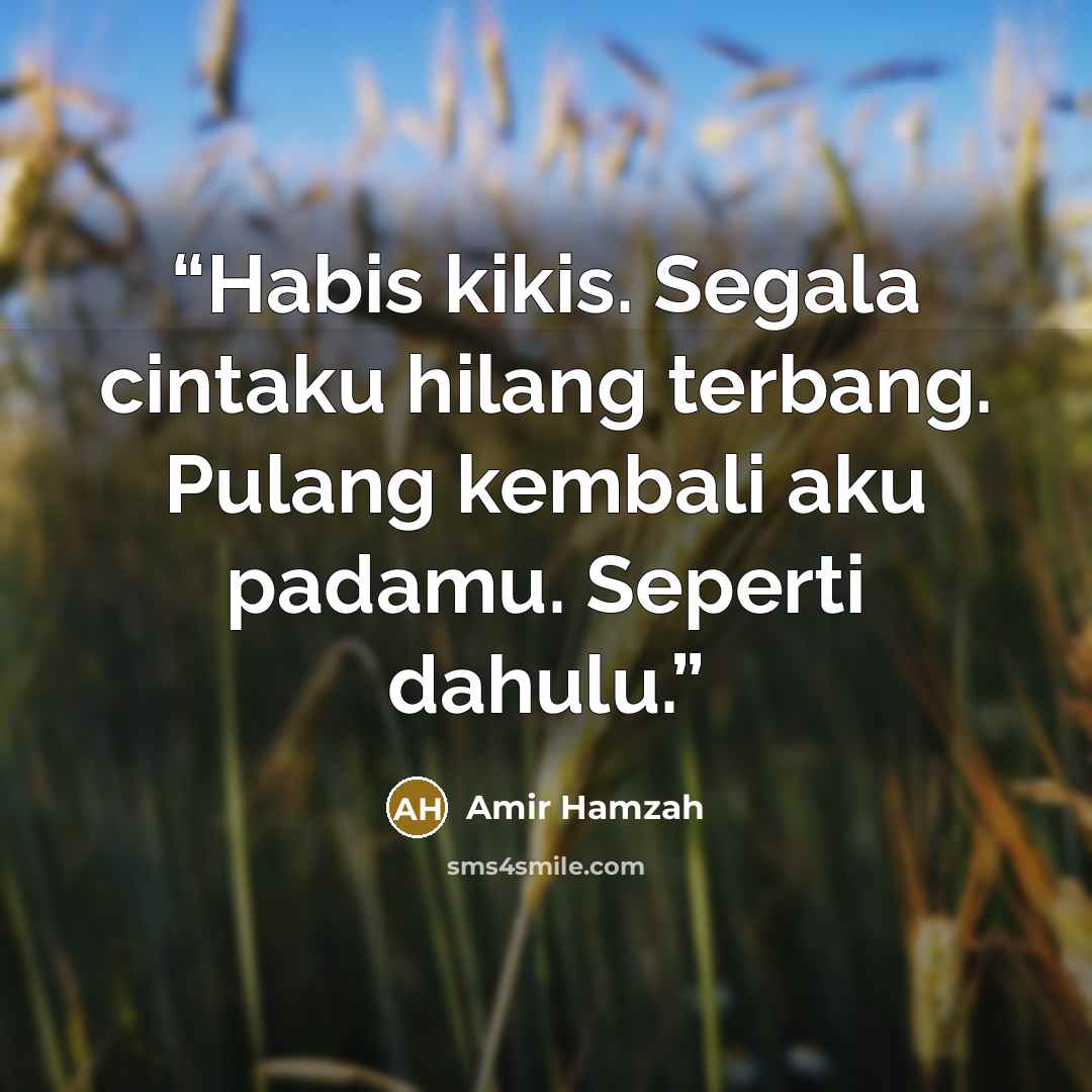 “Habis kikis. Segala cintaku hilang terbang. Pulang kembali aku padamu. Seperti dahulu.” quote by Amir Hamzah