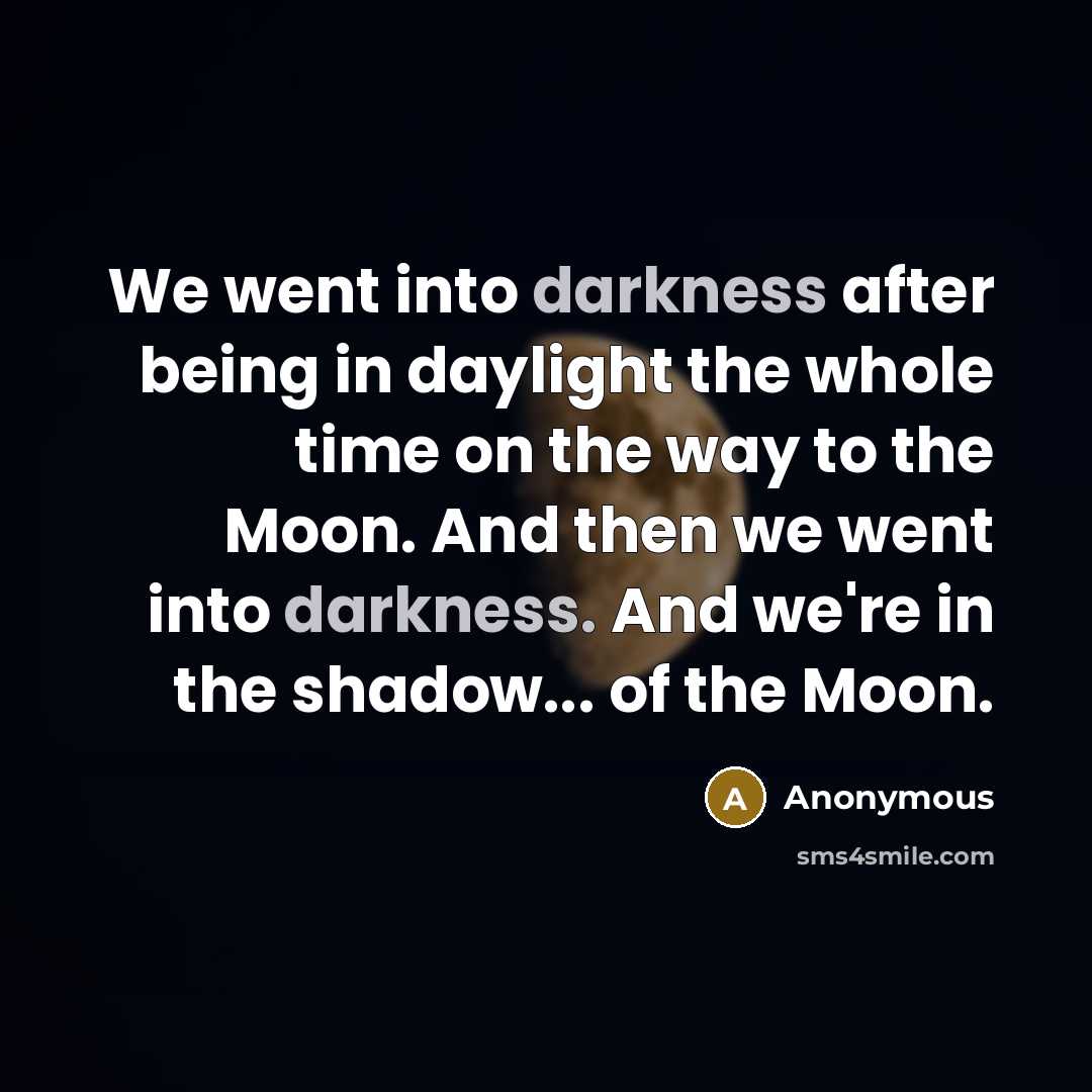 “We went into darkness after being in daylight the whole…” quote by Anonymous