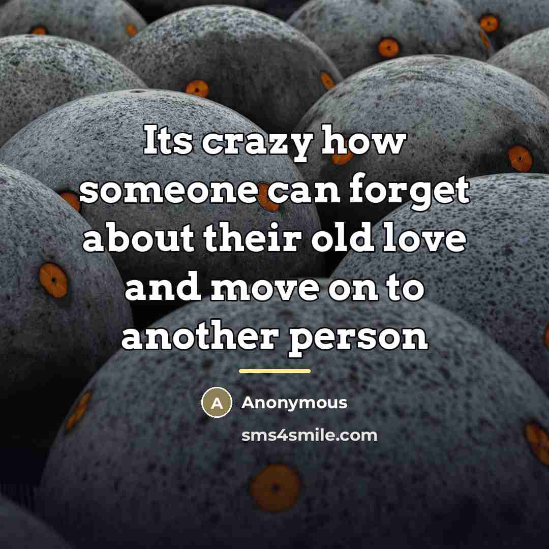 “Its crazy how someone can forget about their old love…” quote by Anonymous