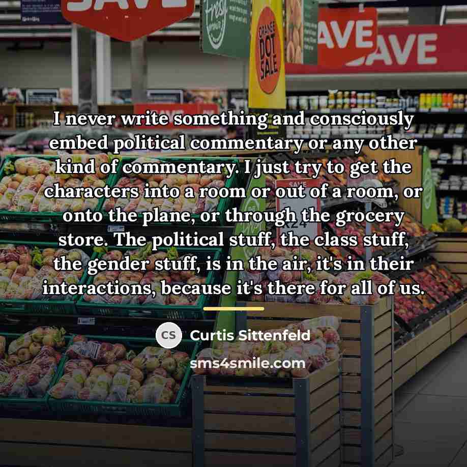 “I never write something and consciously embed political commentary or…” quote by Curtis Sittenfeld