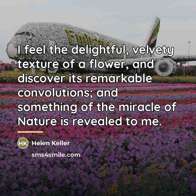 “I feel the delightful, velvety texture of a flower, and…” quote by Helen Keller