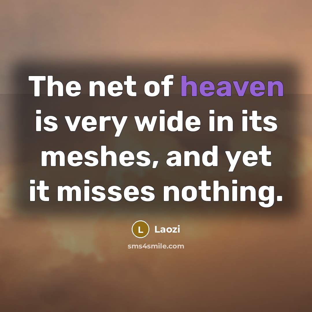 “The net of heaven is very wide in its meshes,…” quote by Laozi