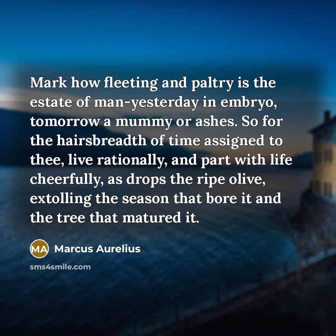 “Mark how fleeting and paltry is the estate of man-yesterday…” quote by Marcus Aurelius