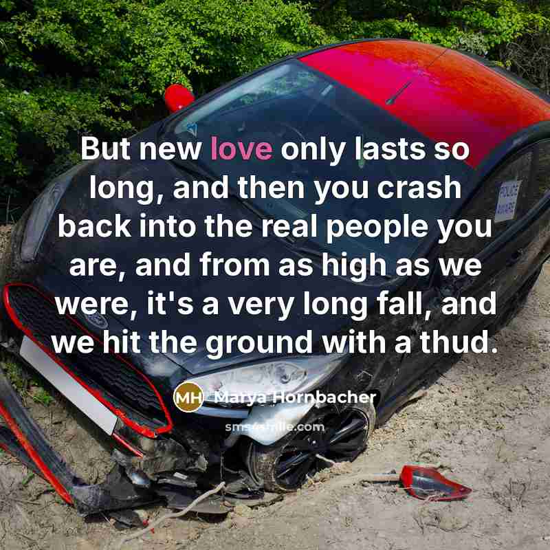 “But new love only lasts so long, and then you…” quote by Marya Hornbacher