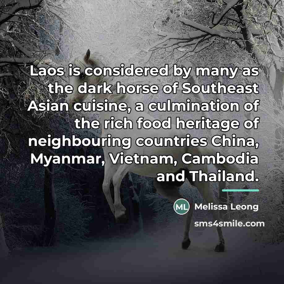 “Laos is considered by many as the dark horse of…” quote by Melissa Leong